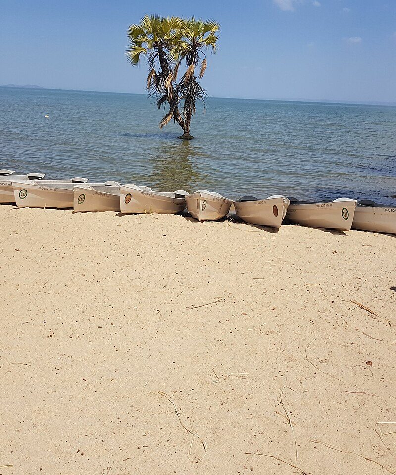 Palm and boats on Lake Turkana