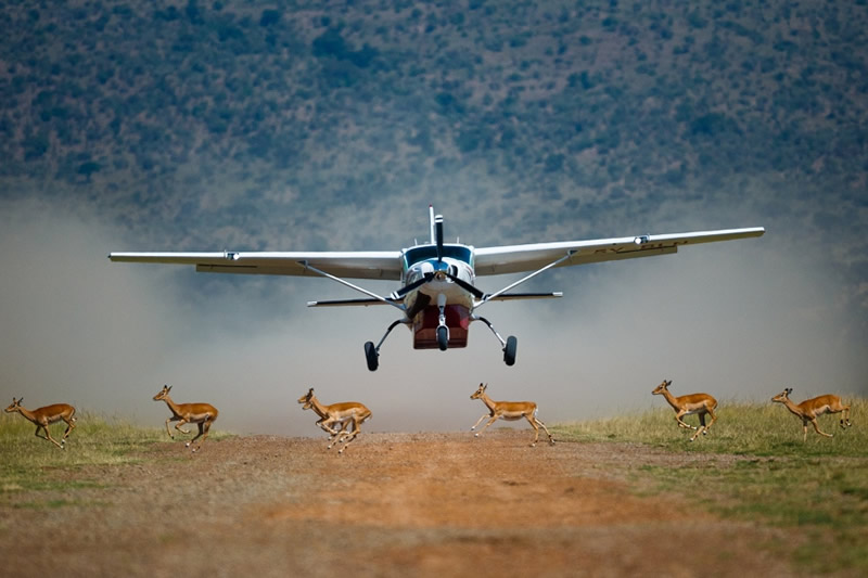 Bush landing on a Mara airstrip
